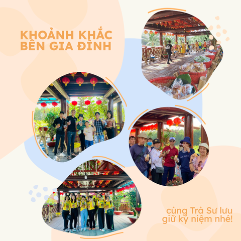 Tiệc Buffett tại Khu du lịch sinh thái ‘Rừng tràm Trà Sư’ mừng Lễ Quốc Khánh - Ảnh 2. Du khách chụp ảnh tại rừng Tràm Trà Sư - Ảnh: Cty cung cấp