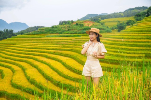Trải nghiệm ăn chơi ở Sa Pa dịp 2-9 cho cả gia đình - Ảnh 1. Mùa vàng ở Ý Linh Hồ - điểm nhấn du lịch Sa Pa ở thời điểm này.