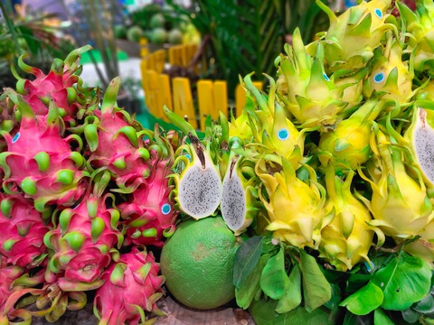 Thoả thích nếm thử đặc sản Tiền Giang miễn phí - Ảnh 4. Nhiều loại nông sản nổi tiếng Tiền Giang như thanh long, sầu riêng, yến... được giới thiệu tại tuần lễ - Ảnh: NHẬT XUÂN
