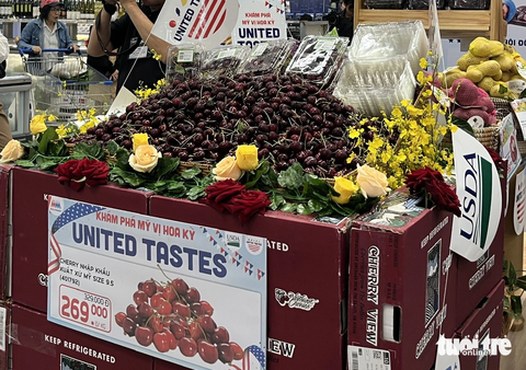 Cherry Mỹ đổ bộ siêu thị, giá còn 270.000 đồng/kg - Ảnh 1. Giá cherry Mỹ liên tục hạ nhiệt nên bán khá chạy - Ảnh: N.BÌNH