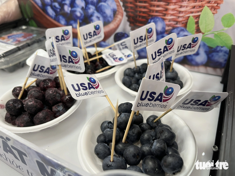 Cherry Mỹ đổ bộ siêu thị, giá còn 270.000 đồng/kg - Ảnh 2. Blueberries Mỹ cũng đang có chương trình giảm giá - Ảnh: N.BÌNH