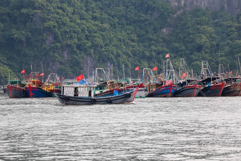 Thủ tướng yêu cầu tập trung xử lý dứt điểm các tồn tại về khai thác IUU - Ảnh 1. Thủ tướng yêu cầu tập trung nguồn lực, xử lý dứt điểm các tồn tại để gỡ "thẻ vàng" EC - Ảnh: C.TUỆ