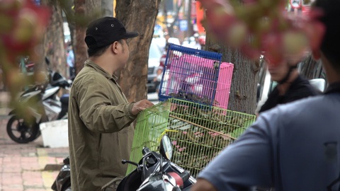 Thượng tọa Thích Hải Ấn: ‘Phóng sinh sai cách là mình có tội’ - Ảnh 3. Một thanh niên bán chim phóng sinh trước cổng chùa ở Vũng Tàu sáng 30-8 - Ảnh: ĐÔNG HÀ