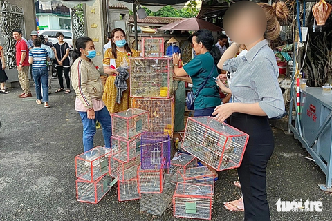 Phóng sinh trở thành ‘phát tử’ - Ảnh 3. Người viếng chùa mua với số lượng lớn để phóng sinh mà không quan tâm đến giá cả - Ảnh: KHẮC HIẾU