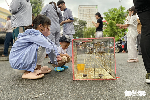 Phóng sinh trở thành ‘phát tử’ - Ảnh 8. Nhiều trẻ đi cùng cha mẹ cũng không hiểu phóng sinh... để làm gì - Ảnh: TIẾN QUỐC