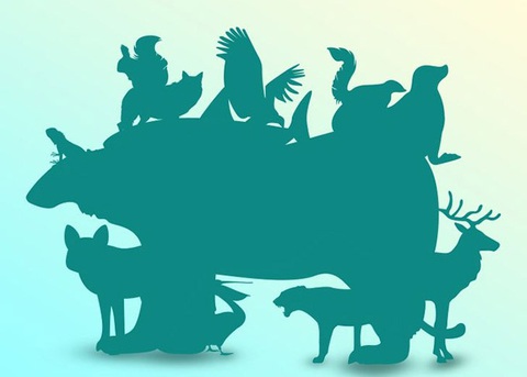 Thử tài tinh mắt: Có bao nhiêu con vật trong bức ảnh? - Ảnh 1. Thử tài tinh mắt: Có bao nhiêu con vật trong bức ảnh? - Ảnh 1.