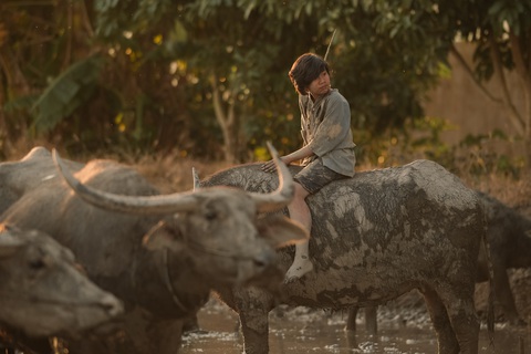 Đỗ Kỳ Phong trong vai Cò của Đất rừng phương Nam - Ảnh: ĐPCC Nhân vật Cò của Đất rừng phương Nam, bộ phim gây tranh cãi ngay khi vừa ra rạp, có rất nhiều tin giả liên quan đến phim này được tung ra trên mạng xã hội - Ảnh: ĐPCC