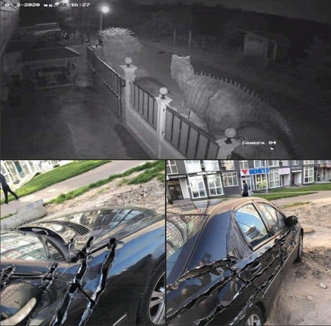 Ảnh vui 1-9: Chữ kí của bác sĩ Nguyễn Sóng Biển - Ảnh 5. Hình ảnh camera có rồi thì chối đâu cho thoát.