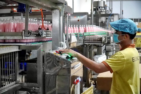 Đón nhà máy về miền Tây - Ảnh 3. Công nhân nhà máy chế biến dừa tại Bến Tre - Ảnh: M.TRƯƠNG