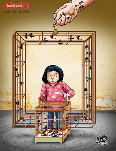 Chim phóng sinh: Có cầu ắt có cung - Ảnh 1. Chim phóng sinh: Có cầu ắt có cung - Tranh: DAD