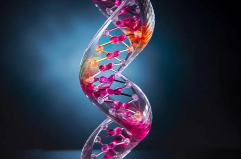Phát minh vật liệu kính DNA nhẹ hơn thép 5 lần và bền hơn 4 lần - Ảnh 1. Mô hình 'khung xương' của vật liệu mới làm bằng DNA và thủy tinh - Ảnh: SCIENCE DAILY