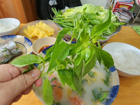 Người xứ Phan nấu canh chua thường thêm ít lá é (cây quế trắng) cho dậy hương thơm - Ảnh: SƠN LÂM Người xứ Phan nấu canh chua thường thêm ít lá é (cây quế trắng) cho dậy hương thơm - Ảnh: SƠN LÂM