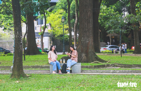 Những hàng cây còn xanh ngắt ở TP.HCM: Dân mong đừng bị chặt ‘vô tội vạ’ - Ảnh 6. Cách đó không xa, đường Alexandre de Rhodes, đường Điện Biên Phủ hay công viên 30-4 cũng mát rười rượi nhờ hàng cây xanh ngắt. Nếu chạy xe ngang những con đường này vào giữa trưa, người đi đường phần nào vơi nỗi bực dọc do kẹt xe bằng bóng mát dìu dịu của hàng cây nhiều tuổi.