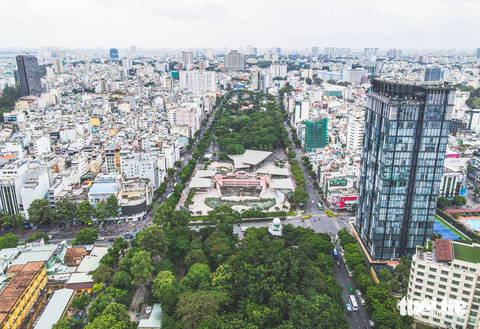 Những hàng cây còn xanh ngắt ở TP.HCM: Dân mong đừng bị chặt ‘vô tội vạ’ - Ảnh 11. Cũng như ông Hải, nhiều người dân cho rằng những hàng cây xanh lâu đời ở TP.HCM chính là di sản văn hóa. Do đó, các đơn vị có thẩm quyền cần phải có biện pháp chăm sóc, giữ gìn tốt hơn. Tuyệt đối không được chặt cây, tỉa nhánh vô tội vạ như một số trường hợp đã xảy ra.
