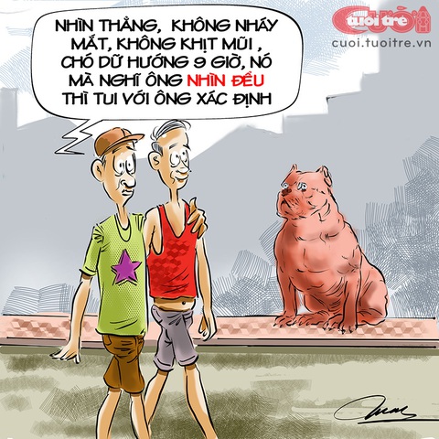 Đối phó với chó dữ bằng... mắt - Ảnh 1. Đối phó với chó dữ bằng... mắt - Biếm họa của Đỗ Minh Tuấn