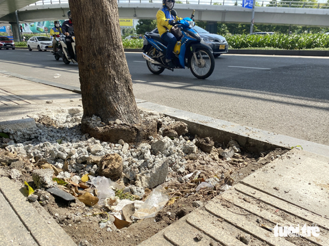 Đục bê tông ‘giải cứu’ cây xanh trên đường vào sân bay Tân Sơn Nhất - Ảnh 5. Đơn vị chăm sóc cây xanh cho biết sẽ xây lại phần bồn quanh gốc cây