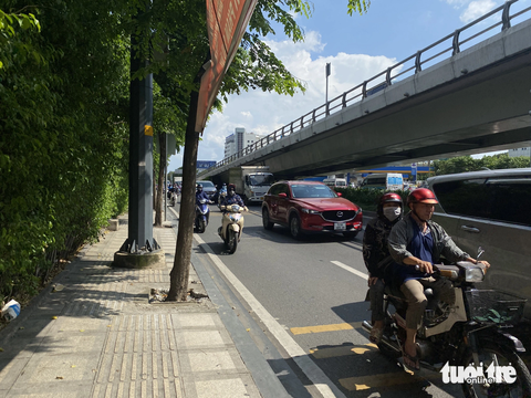 Đục bê tông ‘giải cứu’ cây xanh trên đường vào sân bay Tân Sơn Nhất - Ảnh 6. Có khoảng 30 cây xanh trên đường Trường Sơn, quận Tân Bình, TP.HCM bị tình trạng trên