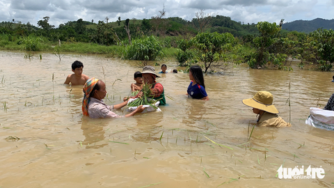 Người dân trong lòng hồ Krông Pách thượng chưa di tản hết, mỗi mùa mưa đến thường bị ngập hoa màu, đe doạ tính mạng, tài sản - Ảnh: TRUNG TÂN Người dân trong lòng hồ Krông Pách Thượng chưa di tản hết, hoa màu của họ hay bị ngập mỗi khi mùa mưa đến - Ảnh: TRUNG TÂN