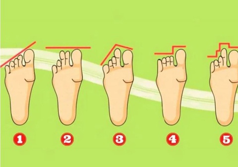 Hình dạng ngón chân bộc lộ tính cách của bạn - Ảnh 1. Hình dạng ngón chân bộc lộ tính cách của bạn - Ảnh 1.