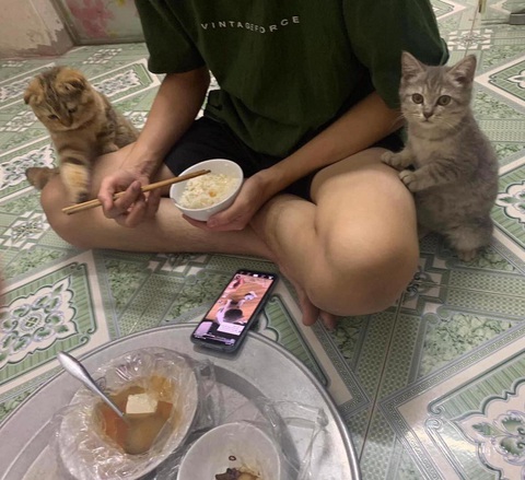 Ảnh vui 7-8: Em cu-te nhưng được cái cứng đầu - Ảnh 2. Này! Ăn đi rồi cho tụi em ăn.