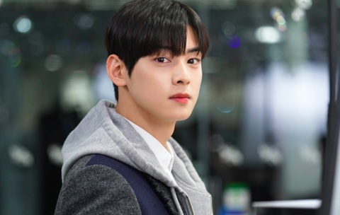 Knet rủ nhau ngừng xem phim Cha Eun Woo đóng vì... quá xinh trai - Ảnh 2. Knet rủ nhau ngừng xem phim Cha Eun Woo đóng vì... quá xinh trai - Ảnh 2.