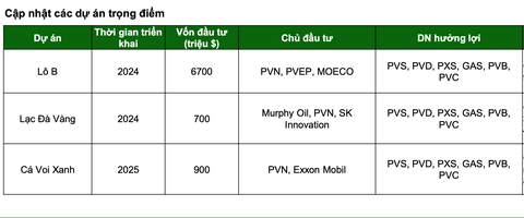 Tiền ào ạt đổ vào gom cổ phiếu dầu khí - Ảnh 2. Các dự án trọng điểm của ngành dầu khí - Nguồn: VCBS