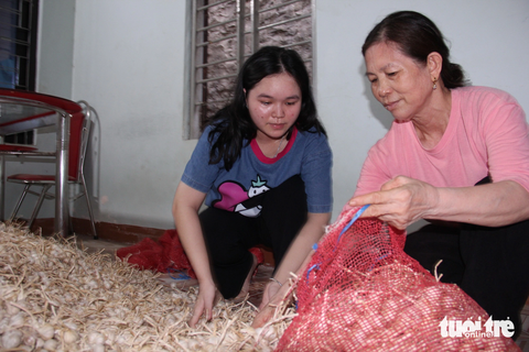 Cha nằm lại Hoàng Sa, con gái mạnh mẽ bước tiếp - Ảnh 1. Xuân Trường cùng bà ngoại cho tỏi vào bao mang đi bán, tỏi do mẹ Trường làm được trong vụ mùa vừa qua - Ảnh: TRẦN MAI