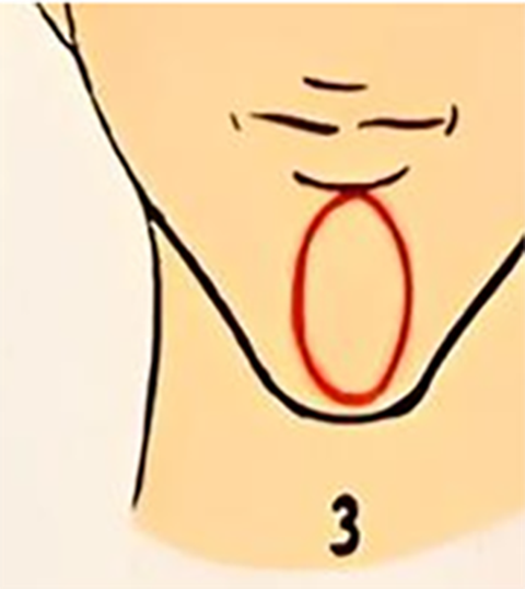 Dáng cằm bộc lộ tính cách bên trong bạn - Ảnh 1. Dáng cằm bộc lộ tính cách bên trong bạn - Ảnh 1.