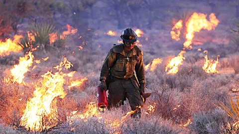 Bảo hiểm cũng "rét" với bão tố, cháy rừng - Ảnh 2. Cháy rừng ở California, Mỹ cuối tháng 7-2023 - Ảnh: AFP