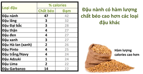 Tại sao đậu nành được khuyên dùng cho chế độ ăn cân bằng dinh dưỡng? - Ảnh 1. Theo tiến sĩ Mark Messina, dinh dưỡng từ đậu nành cao hơn và chất lượng hơn so với các loại đậu khác