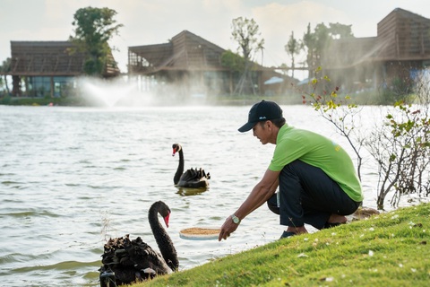 Nghỉ lễ 2/9, trẻ em thành Vinh nô nức đổ về Eco Central Park ngắm thiên nga mới sinh - Ảnh 3. Ông Tích chăm sóc thiên nga tại Eco Central Park