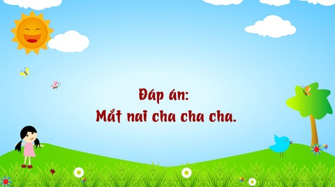 Câu đố hack não: Khi nào thì con bò sinh ra con ong? - Ảnh 1.