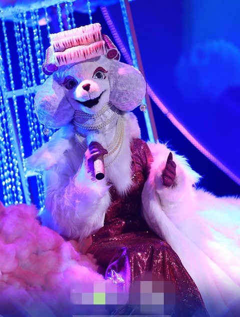 Xuất hiện mascot Bố Gấu, Cáo Tiểu Thư sở hữu giọng hát khủng - Ảnh 4. Cún Tóc Lô