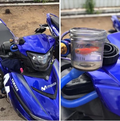 Ảnh vui 10-9: Khi Tề Thiên Đại Thánh ở một vũ trụ khác - Ảnh 5. Đưa thiên nhiên đi khắp nơi.