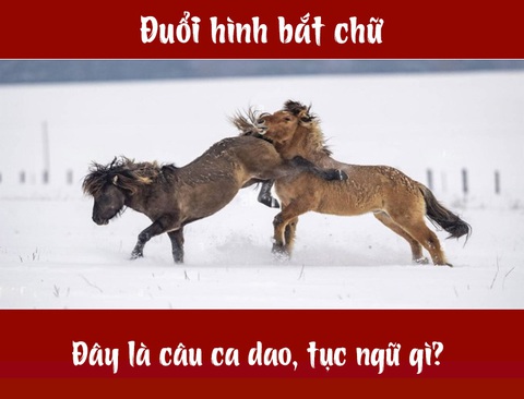 Câu ca dao, tục ngữ 'khó nhằn' này là gì? (P40) - Ảnh 4. Câu ca dao, tục ngữ 'khó nhằn' này là gì? (P40) - Ảnh 4.
