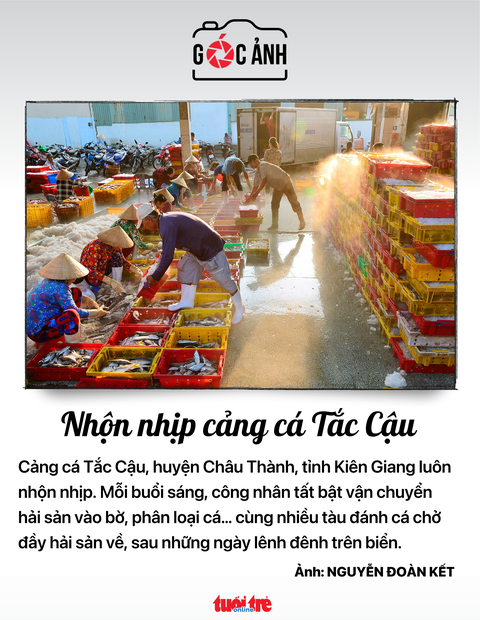 Nhộn nhịp cảng cá Tắc Cậu - Ảnh: NGUYỄN ĐOÀN KẾT Nhộn nhịp cảng cá Tắc Cậu - Ảnh: NGUYỄN ĐOÀN KẾT