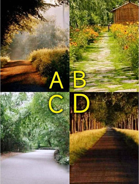 Quiz: Bạn sẽ có bước ngoặt cuộc đời ở độ tuổi nào? - Ảnh 1. Quiz: Bạn sẽ có bước ngoặt cuộc đời ở độ tuổi nào? - Ảnh 1.