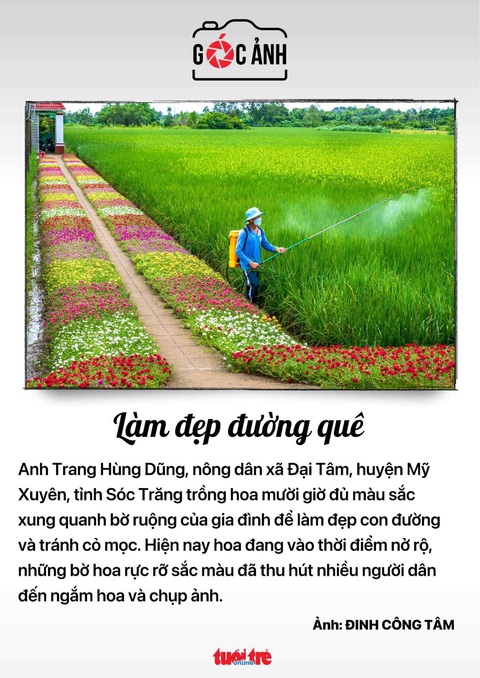 Tin tức sáng 11-9: Chưa Trung thu sức mua đã chậm, phải khuyến mãi; Không được lái xe quá 4 giờ liền - Ảnh 6. Tin tức sáng 11-9: Chưa Trung thu sức mua đã chậm, phải khuyến mãi; Không được lái xe quá 4 giờ liền - Ảnh 6.