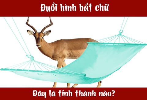 IQ cao có đoán được đây là tỉnh thành nào nước ta? (P26) - Ảnh 1. IQ cao có đoán được đây là tỉnh thành nào nước ta? (P26) - Ảnh 1.