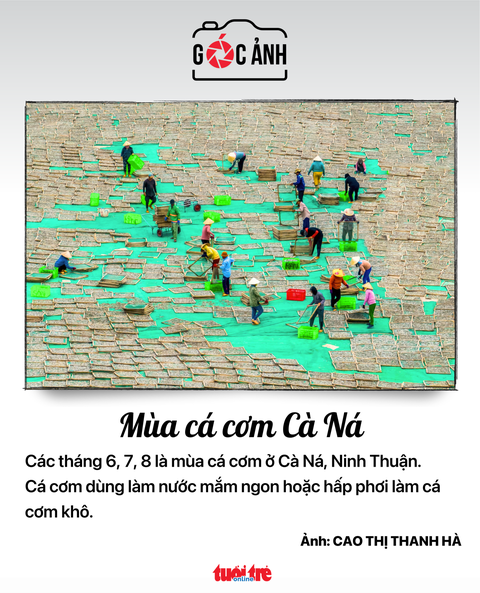 Tin tức sáng 13-9: - Ảnh 4. Tin tức sáng 13-9: - Ảnh 4.