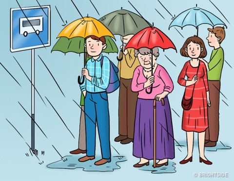 Thử tài tinh mắt: Con mèo đang ẩn nấp ở đâu? - Ảnh 10. Thử tài tinh mắt: Con mèo đang ẩn nấp ở đâu? - Ảnh 10.