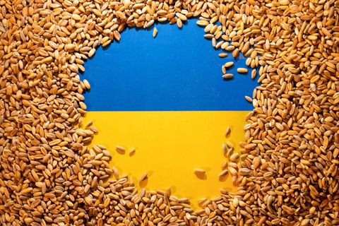 Ukraine phản đối châu Ấu gia hạn cấm nhập khẩu ngũ cốc từ nước này sau 15-9 - Ảnh 1. Ukraine cho rằng các lệnh cấm nhập khẩu ngũ cốc của nước này sau ngày 15-9 đều bất hợp pháp - Ảnh minh họa: REUTERS