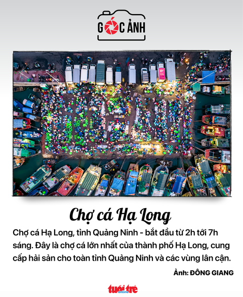 Chợ cá Hạ long - Ảnh: ĐÔNG GIANG Chợ cá Hạ long - Ảnh: ĐÔNG GIANG