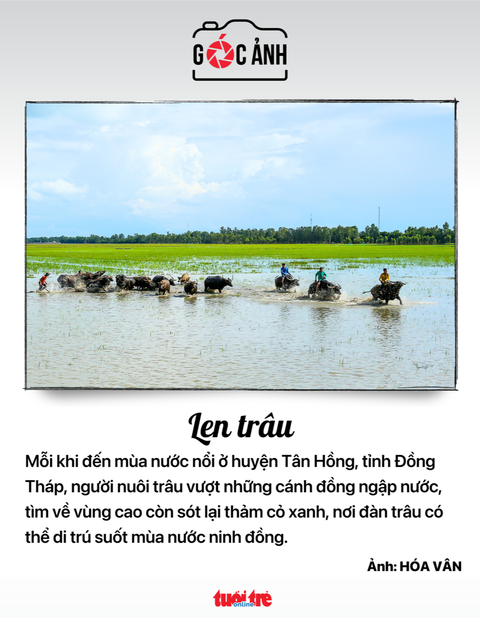 Tin tức sáng 14-9: Quỹ bình ổn xăng dầu có 7.400 tỉ, dùng 6 tỉ; Bảo hiểm xã hội hỗ trợ nạn nhân cháy - Ảnh 6. Tin tức sáng 14-9: Quỹ bình ổn xăng dầu có 7.400 tỉ, dùng 6 tỉ; Bảo hiểm xã hội hỗ trợ nạn nhân cháy - Ảnh 6.
