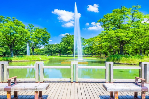 Đài phun nước ở trung tâm công viên Yoyogi - Ảnh: The Gate Đài phun nước ở trung tâm công viên Yoyogi - Ảnh: The Gate