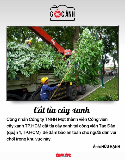 Tin tức sáng 16-9: Xử lý xe máy 'bỏ quên' ở Tân Sơn Nhất - Ảnh 6. Tin tức sáng 16-9: Xử lý xe máy 'bỏ quên' ở Tân Sơn Nhất - Ảnh 6.