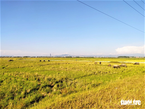 Kiến nghị bỏ quy định 'phải có xác nhận nông dân mới được thừa kế đất nông nghiệp' - Ảnh 1. Phải có xác nhận 'nông dân' mới được thừa kế đất nông nghiệp. Theo bạn đọc Tuổi Trẻ Online, quy định này không hợp lý - Ảnh: LÊ MINH