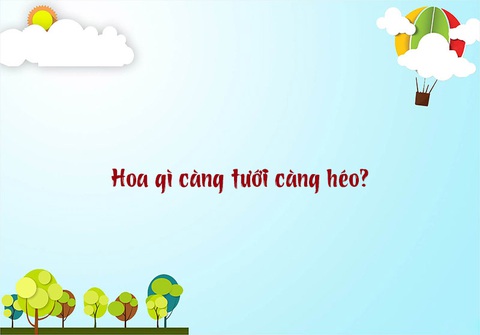 Câu đố hack não: Hoa gì càng tưới càng héo? - Ảnh 1. Câu đố hack não: Hoa gì càng tưới càng héo? - Ảnh 1.