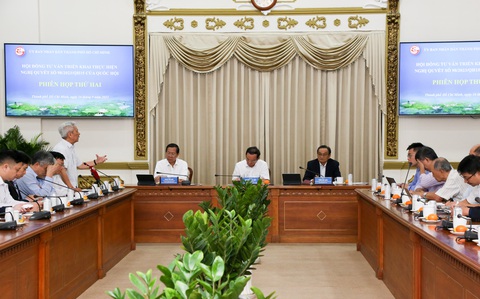 Chuyên gia nêu khó khăn trong việc thu hút nhà đầu tư chiến lược vào TP.HCM - Ảnh 1. Hội đồng tư vấn triển khai thực hiện nghị quyết số 98 tổ chức phiên họp thứ 2 - Ảnh: THẢO LÊ