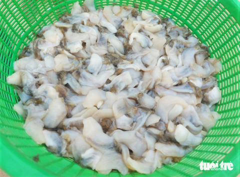 Ngao tím dạt vào bờ dày đặc, người dân đua nhau vớt 'lộc biển' đem bán - Ảnh 7. Ngao là một loài nhuyễn thể thường phân bố trên các bãi triều, trong các eo vịnh có đáy cát pha bùn, nơi ít sóng gió và có lượng nước ngọt nhất định chảy vào. Ở Hà Tĩnh ngao được người dân nuôi, phân bố nhiều ở dọc bãi biển huyện Lộc Hà, huyện Thạch Hà. Hằng năm vào vụ thu hoạch ngao có giá dao động 20.000 - 25.000 đồng/kg.